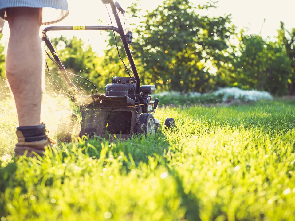 Gardeners Cairns Mowing Grass