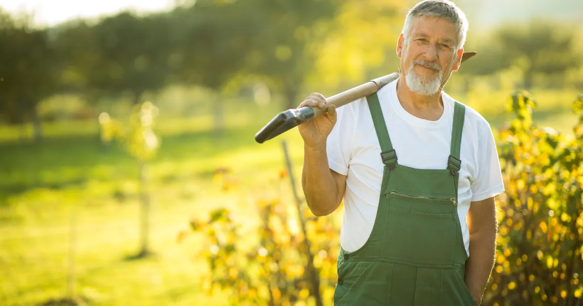 Gardeners Cairns