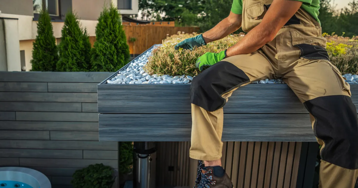 Planter Box Cairns