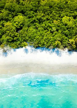 Cairns Northern Beaches
